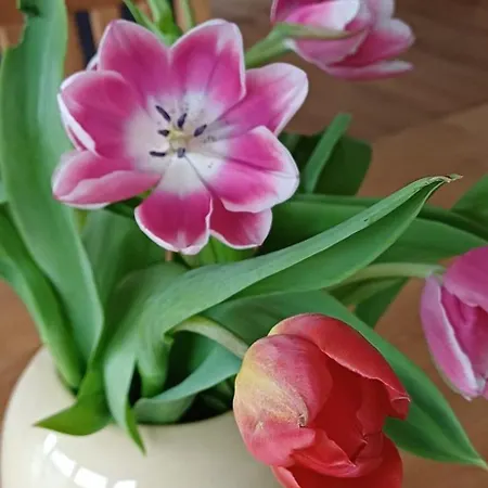 Appartement Top Ferienwohnung Herborn *